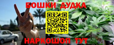 прущие грибы Кингисепп