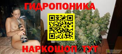 прущие грибы Кингисепп