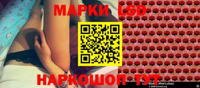 прущие грибы Кингисепп