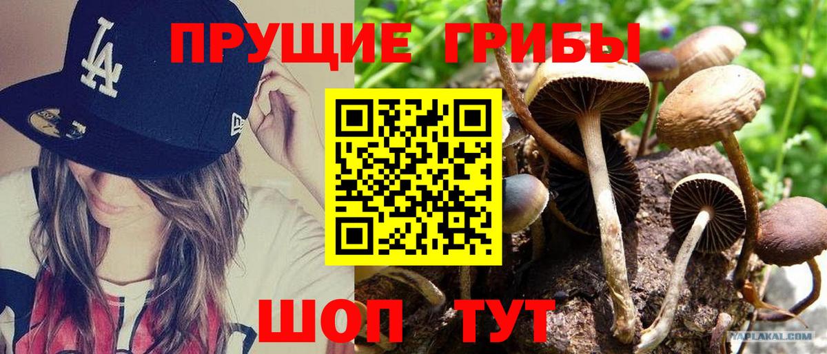 Киселёвск  Галлюциногенные грибы MAGIC MUSHROOMS  Вход с VPN 